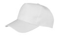 Cap 5-Panel Boston Printers RC084X