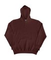 Heren Hoodie SG27