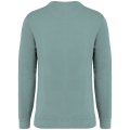 Heren Sweater Native Spirit Ecologisch NS414 Washed Jade Green