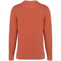 Heren Sweater Native Spirit Ecologisch NS414 Terry Washed Pomelo