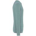 Heren Sweater Native Spirit Ecologisch NS414 Washed Jade Green