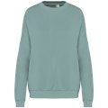 Heren Sweater Native Spirit Ecologisch oversized NS415 Washed Jade Green