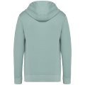 Heren Hooded Native Spirit Ecologisch NS416 Washed Jade Green