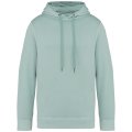 Heren Hooded Native Spirit Ecologisch NS416 Washed Jade Green