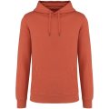 Heren Hooded Native Spirit Ecologisch NS416 Washed Pomelo