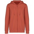 Heren Hoodie Native Spirit Ecologisch NS417 Washed Pomelo