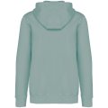Heren Hoodie Native Spirit Ecologisch NS417 Washed Jade Green