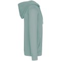 Heren Hoodie Native Spirit Ecologisch NS417 Washed Jade Green