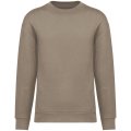 Heren Sweater Native Spirit Ecologische NS435 Wet Sand