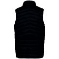 Heren Bodywarmer Native Spirit Ecologische licht Black