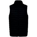 Heren Bodywarmer Native Spirit Ecologische licht Black