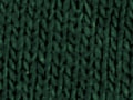 DryBlend® Fleece Stadium Blanket Forest Green