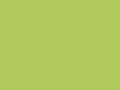 Rhine Hand Towel 50x100 cm Bright Green