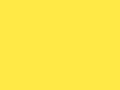 Morgan Crew Neck  Daisy Yellow