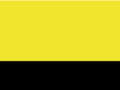 Werkjas High Visibilty Result R452X Fluorescent Yellow-Black