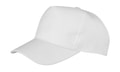 Cap 5-Panel Boston Printers RC084X