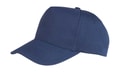 Cap 5-Panel Boston Printers RC084X