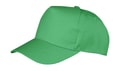Cap 5-Panel Boston Printers RC084X