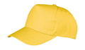Cap 5-Panel Boston Printers RC084X