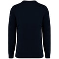 Heren Sweater Native Spirit Ecologisch NS414 Washed black