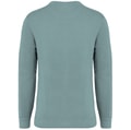 Heren Sweater Native Spirit Ecologisch NS414 Washed Jade Green