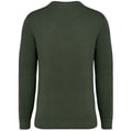 Heren Sweater Native Spirit Ecologisch NS414 Washed Organic Khaki