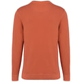 Heren Sweater Native Spirit Ecologisch NS414 Terry Washed Pomelo