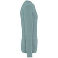 Heren Sweater Native Spirit Ecologisch NS414 Washed Jade Green