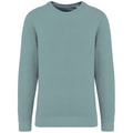Heren Sweater Native Spirit Ecologisch NS414 Washed Jade Green