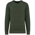 Heren Sweater Native Spirit Ecologisch NS414 Washed Organic Khaki