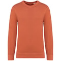 Heren Sweater Native Spirit Ecologisch NS414 Terry Washed Pomelo