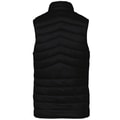 Dames Bodywarmer Native Spirit Ecologische licht Black