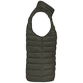 Dames Bodywarmer Native Spirit Ecologische licht Khaki