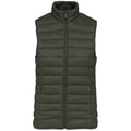 Dames Bodywarmer Native Spirit Ecologische licht Khaki