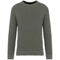 Heren Trui gebreid Ecologisch Native Spirit NS911 Organic Khaki