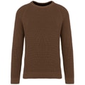 Heren Trui gebreid Ecologisch Native Spirit NS911 Toffee