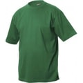 Heren T-shirt Clique Classic-T 029320 Apple Green