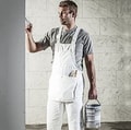 Dickies Schilders Overall WD650