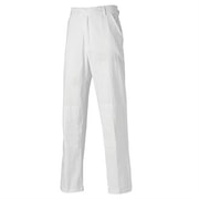 Dickies Schilders Werkbroek WD824