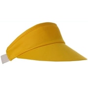 Sunvisors 