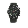 Torbay horloge groen