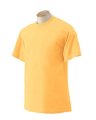 T-shirt Ultra Gildan 2000 honey